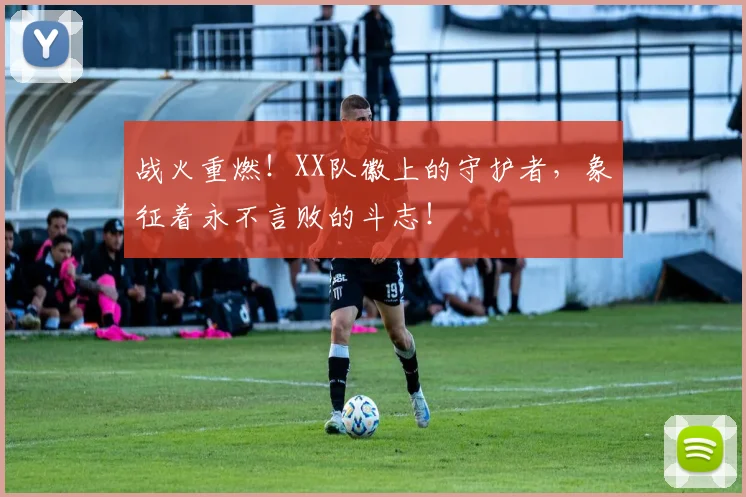 战火重燃!XX队徽上的守护者,象征着永不言败的斗志!